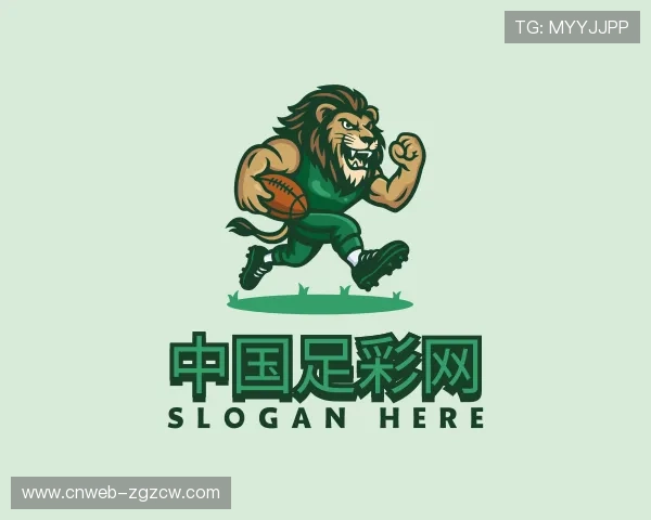 介绍中国足彩网